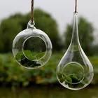 Wholesale Hanging Glass Vase Flower Vase Planter Terrarium Container Vases for home decorations