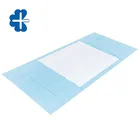 Quality Incontinence High Quality Incontinence Winged Underpad