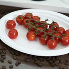 100% biodegradable disposable tableware compostable plate sugarcane bagasse plates