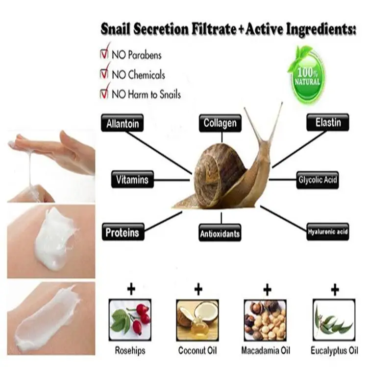 snail cream (5).jpg