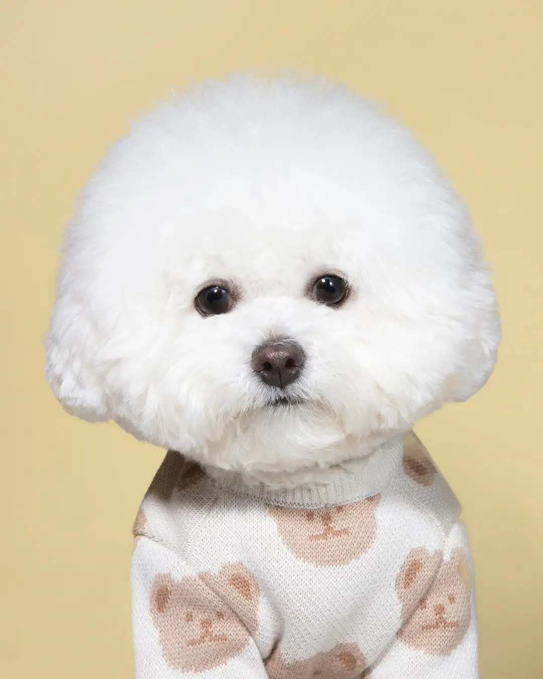 Soft Dog Sweater Classic Pet Casual Outfit Costume Fashion Cardigan Sweater Knit Jacket For Schnauzer Bulldog Puppy Clothes
Soft Dog Sweater Classic Pet Casual Outfit Costume Fashion Cardigan Sweater Knit Jacket For Schnauzer Bulldog Puppy Clothes