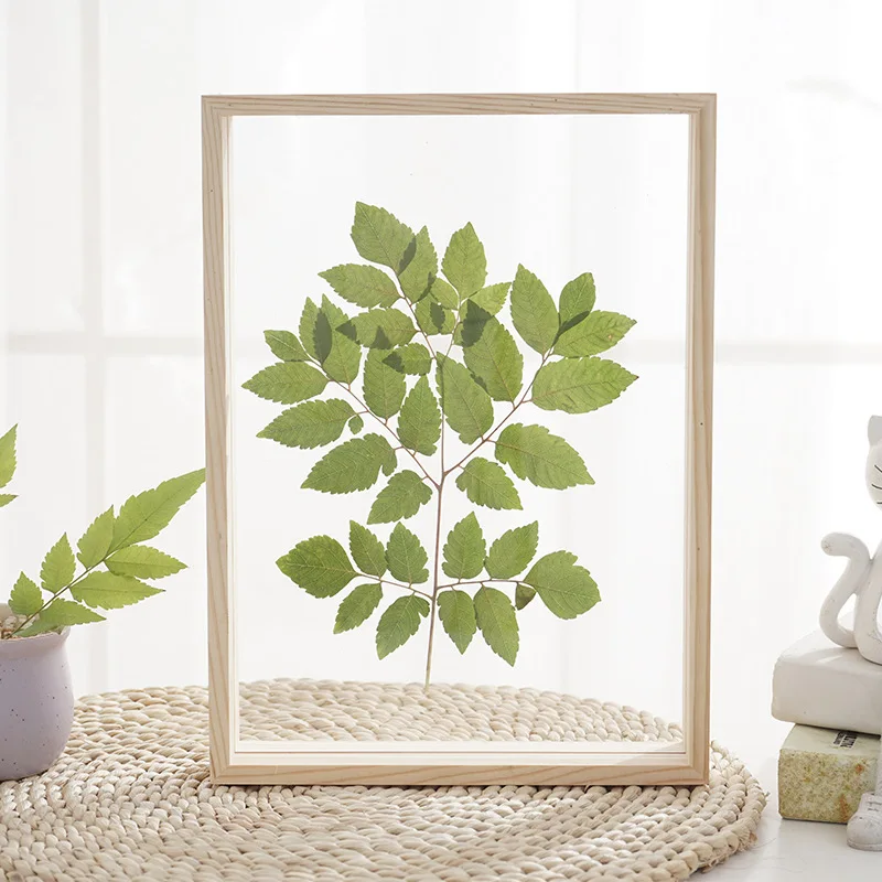 6x8 Double-side glass transparent plant specimen plant photo frame wood box custom wooden photo frame with acrylic, Natural wood color
6x8 Double-side glass transparent plant specimen plant photo frame wood box custom wooden photo frame with acrylic, Natural wood color