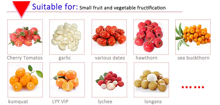 Professional Track Citrus Potato Grading Fruit Roller Sort Machine Sorting Walnuts Sorter Machine supplier