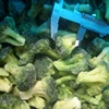 /product-detail/iqf-broccol-frozen-broccoli-3-5mmwith-china-suppliers-grade-a-62378323219.html
