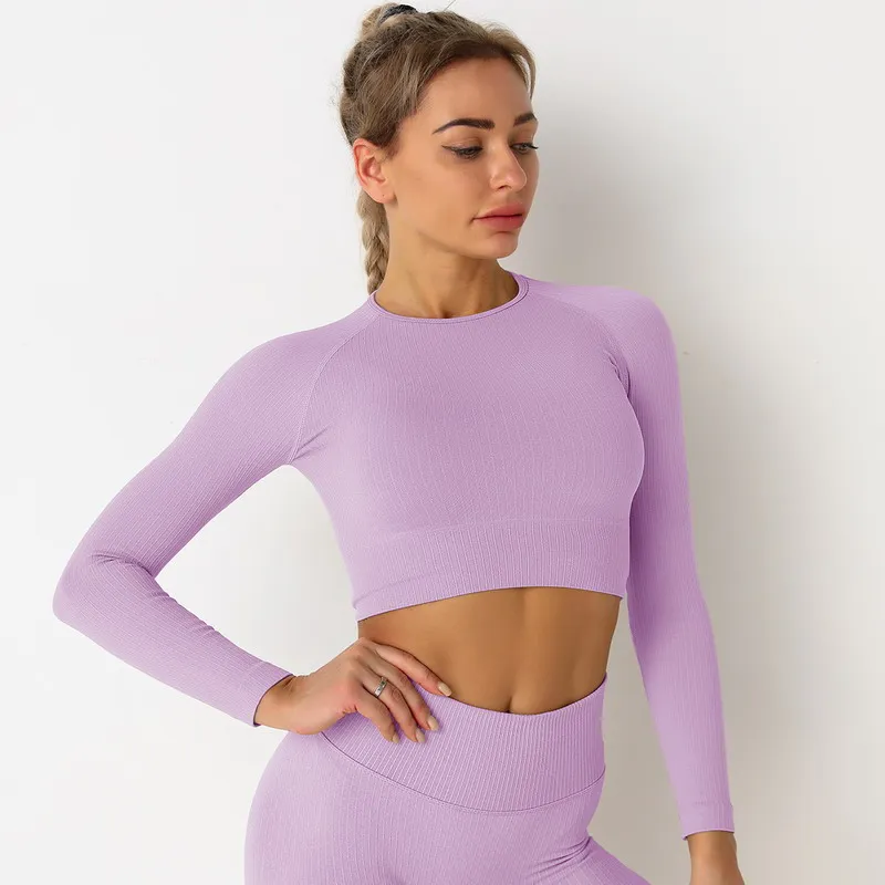 Gym Tights Seamless Women Fitness Gym Wear Crewneck Sweatshirt Custom Women Long Sleeve Crop Top, As picture
Gym Tights Seamless Women Fitness Gym Wear Crewneck Sweatshirt Custom Women Long Sleeve Crop Top, As picture