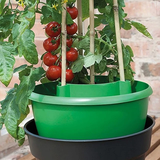 Grow Pots6.jpg