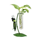 Home decor hydroponic grasshopper shape glass flower plant pot