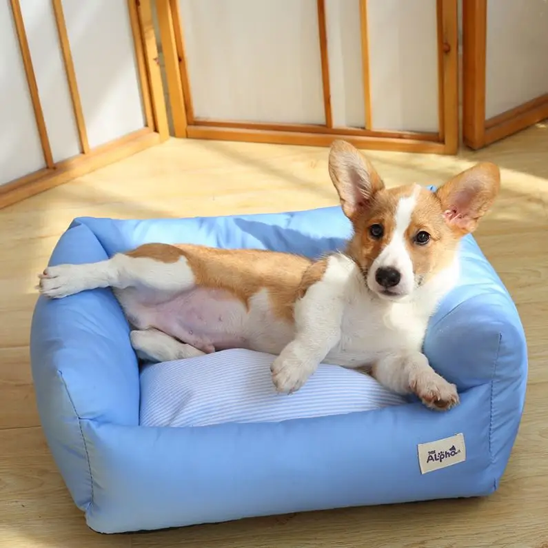 Pet Accessories Wholesale China Felt Eco Friendly Pet Sleeping Bed Rest Beds In stock
Pet Accessories Wholesale China Felt Eco Friendly Pet Sleeping Bed Rest Beds In stock