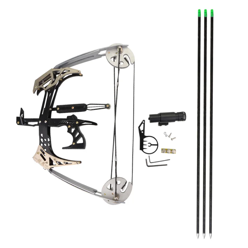 

Outdoor Hunting Shooting Compound Bow Archery Adjustable 25 lbs Professional Compound Bow, Black