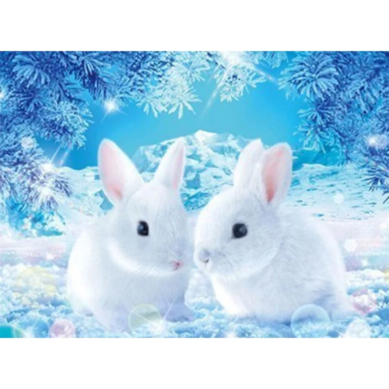 Huacan Good Price 5d Diamond Art Painting Kits Animal Owl Wholesale Diamond Mosaic Full Snow Modern Fashion
Huacan Good Price 5d Diamond Art Painting Kits Animal Owl Wholesale Diamond Mosaic Full Snow Modern Fashion