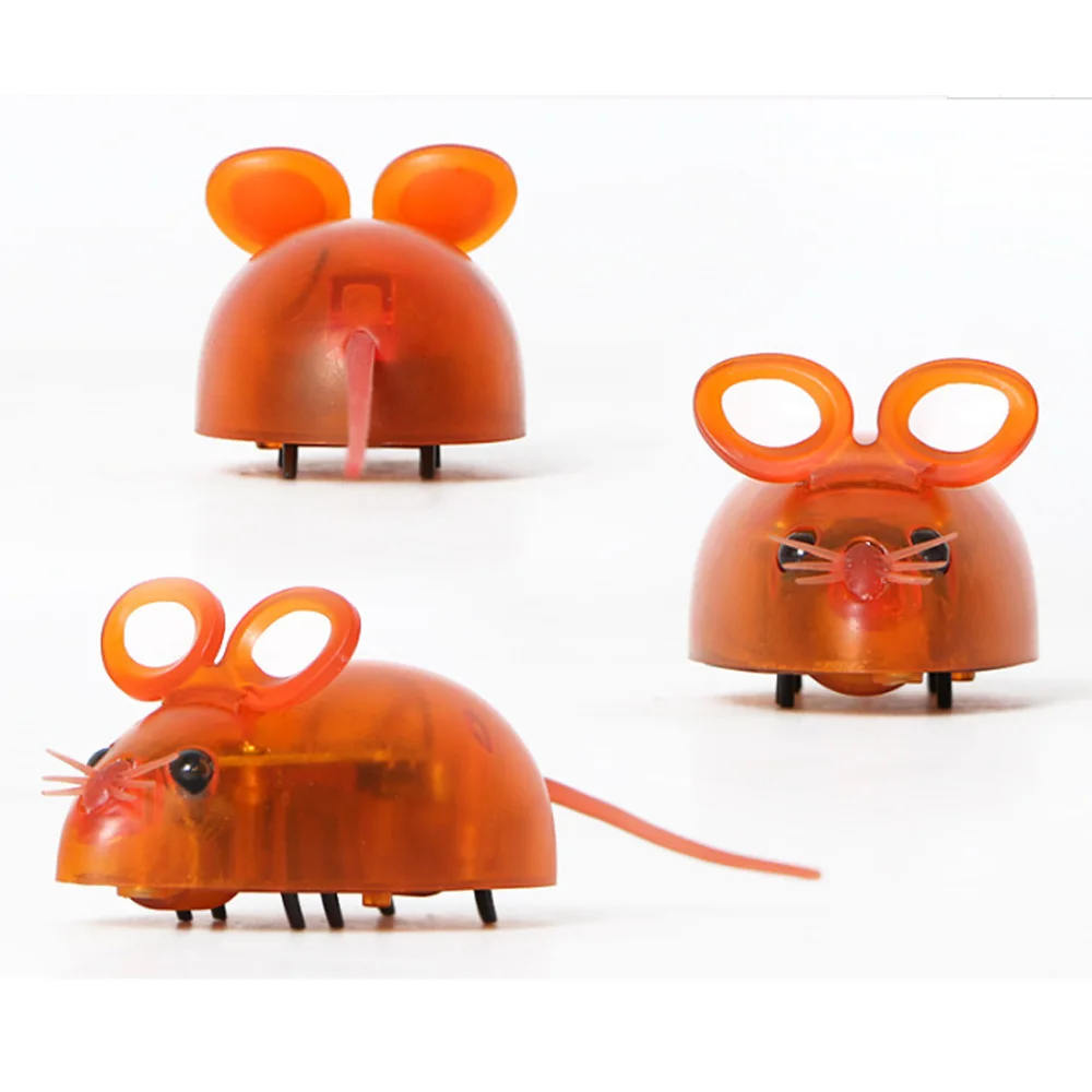 Funny Cat Toy Mini Vibration Electric Mouse Hunt Toys For Cat Robot Running Mouse Toy, Random
Funny Cat Toy Mini Vibration Electric Mouse Hunt Toys For Cat Robot Running Mouse Toy, Random