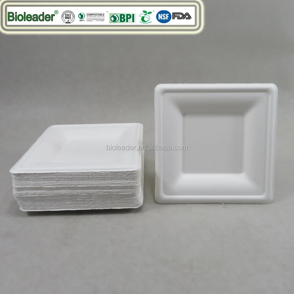 Biodegradable sugarcane square restaurant plate