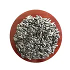 Seeds Export High Quality Full Sunflower Seeds Oil Type On Sale
