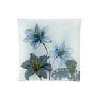 Safe Small Square Dish Plate For Snack