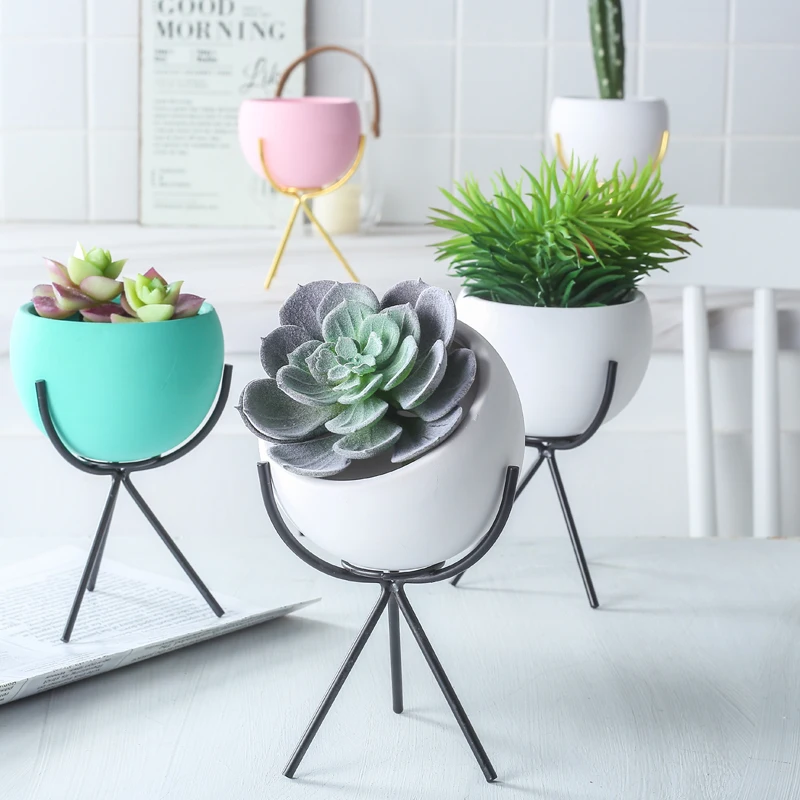 New minimalist cute home decoration pots cheap plant pots indoor succulent plant pots wholesale
New minimalist cute home decoration pots cheap plant pots indoor succulent plant pots wholesale