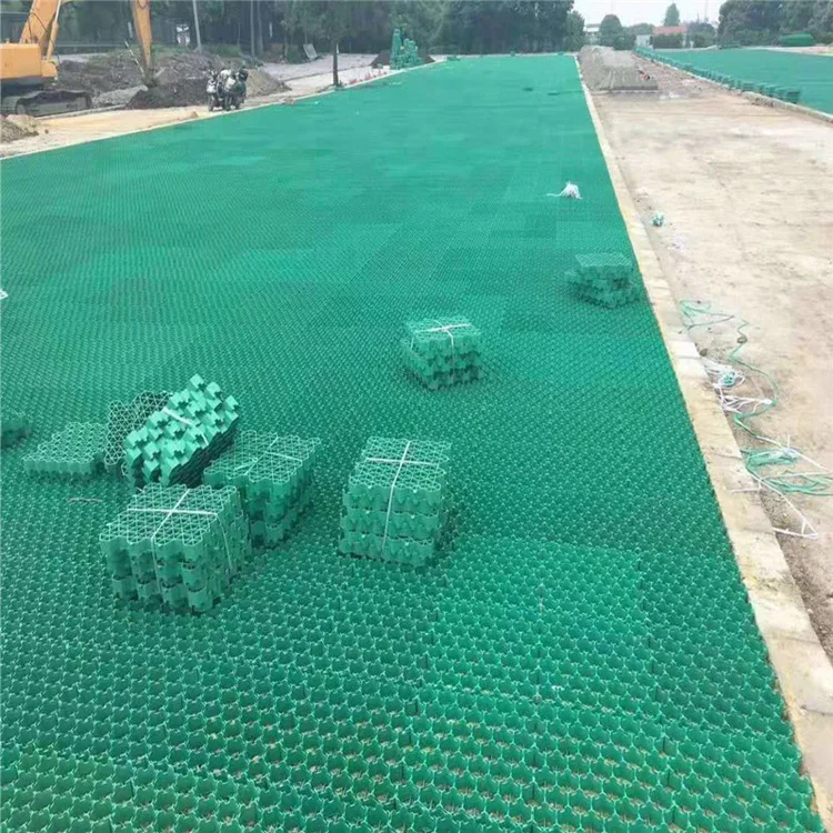 drive way grass paver grid.jpg