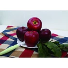 fresh apples fruits for sale average price apple fruit fruit market prices apple
