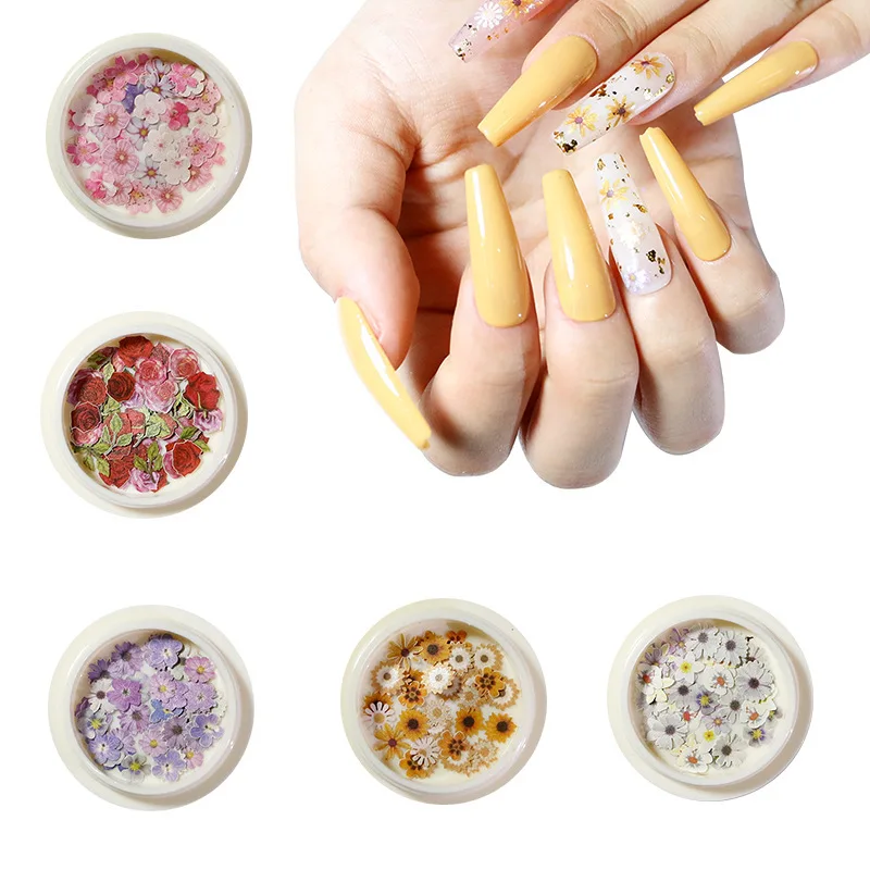 Nail art color mixed flower wood pulp small rose pastoral nail dried flower patch DIY nail art decoration, As picture
Nail art color mixed flower wood pulp small rose pastoral nail dried flower patch DIY nail art decoration, As picture