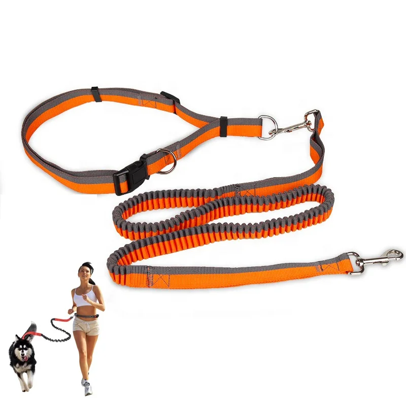 HengFeng Luxury Elasticity Webbing Pet leash running hands free dog leash for running, Picture shows
HengFeng Luxury Elasticity Webbing Pet leash running hands free dog leash for running, Picture shows
