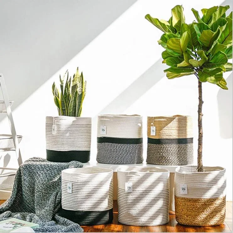 Sundayhome Small Woven Soft Kids Toy Set Cotton Rope Basket Indoor Planters For Indoor Plants, Customized color
Sundayhome Small Woven Soft Kids Toy Set Cotton Rope Basket Indoor Planters For Indoor Plants, Customized color