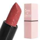 Latest custom your own logo waterproof private label lipstick sets
