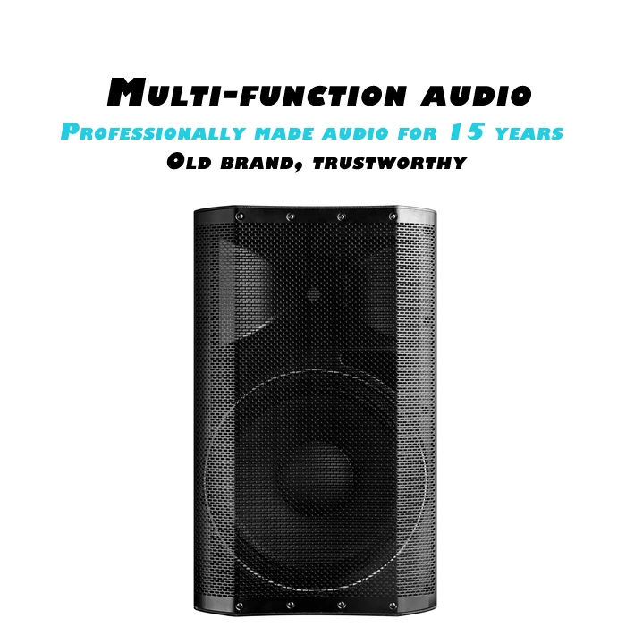 Polinata high power 15 inch subwoofer 350W Built-in DSP system portable speaker professional speaker box with Class D Amplifier - ANKUX.COM