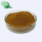 Cactus Extract powder/Cholla Stem Extract best price for sale.