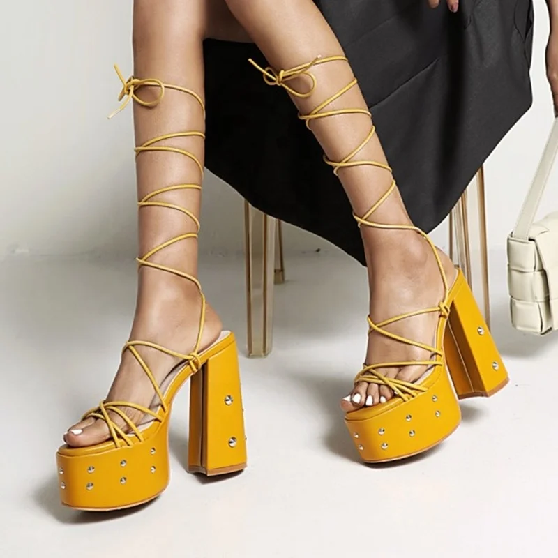 Rivet Decoration Open Round Toe Platform Chunky Heel Summer Sandals for Ladies High Heeled Lace Up Sexy Women Dress Shoes
Rivet Decoration Open Round Toe Platform Chunky Heel Summer Sandals for Ladies High Heeled Lace Up Sexy Women Dress Shoes