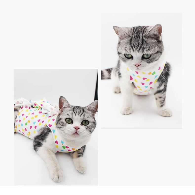 For Dogs Pet Clothing Pet Wear Pet Apparel & Accessories Coats & Jackets 24 Online Service Sport Polyester Blue, Pink, Many colors
For Dogs Pet Clothing Pet Wear Pet Apparel & Accessories Coats & Jackets 24 Online Service Sport Polyester Blue, Pink, Many colors