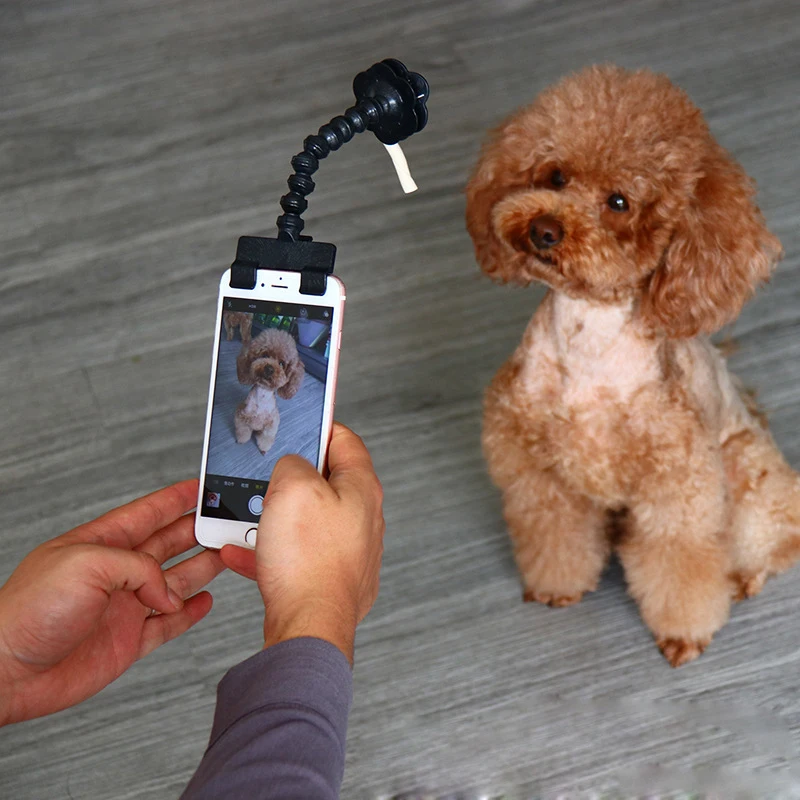 Amazon Hot sale pet supplies self-timer pet selfie stick dog toy look camera phone clip selfie stick for pet selfie stick 2020, Black, white
Amazon Hot sale pet supplies self-timer pet selfie stick dog toy look camera phone clip selfie stick for pet selfie stick 2020, Black, white