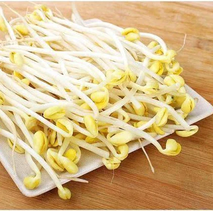 canned mung bean sprouts in water 425g