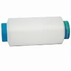 Recycle 20/70 Nylon Air Covered Yarn with Brand Spandex for Weaving