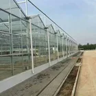 multi-span agricultural glass greenhouse year round for sale