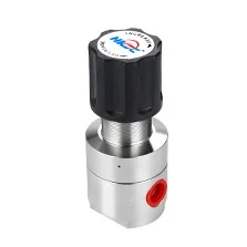 Back pressure valve