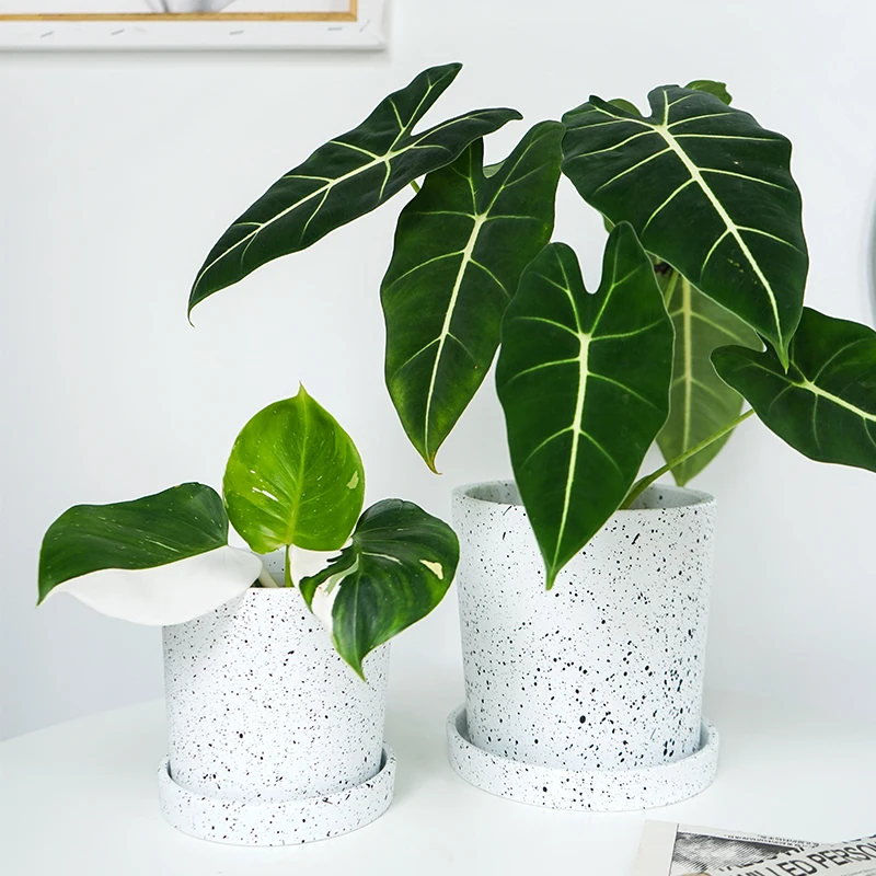 New arrival simple style round ceramic green plant pots with saucer for home garden decor
New arrival simple style round ceramic green plant pots with saucer for home garden decor