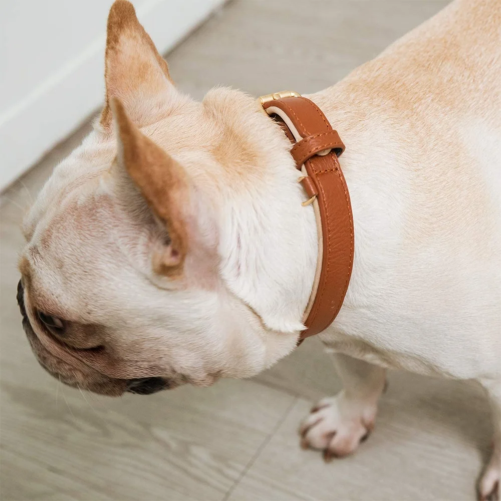 Custom Personalized Dog Collar Leather Pet Collar Fashion Collars For Pets And Dogs 
Custom Personalized Dog Collar Leather Pet Collar Fashion Collars For Pets And Dogs