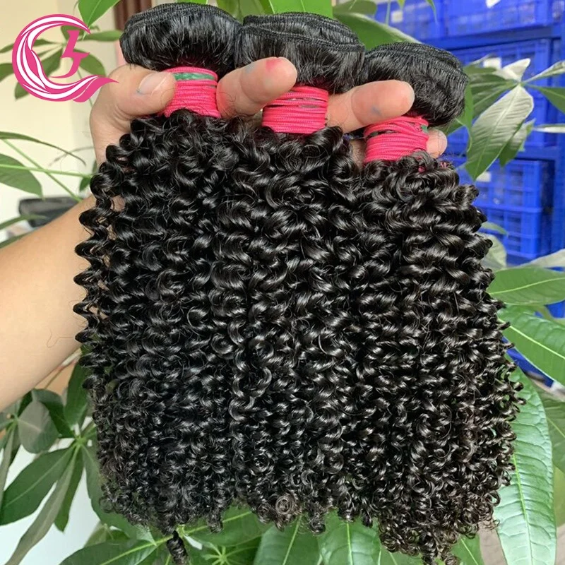 Raw Indian Hair Vendors,Packet Pixie Curl Human Hair Wholesale Verified Cheveux Indiens,Curly Virgin Hair Extensions
Raw Indian Hair Vendors,Packet Pixie Curl Human Hair Wholesale Verified Cheveux Indiens,Curly Virgin Hair Extensions