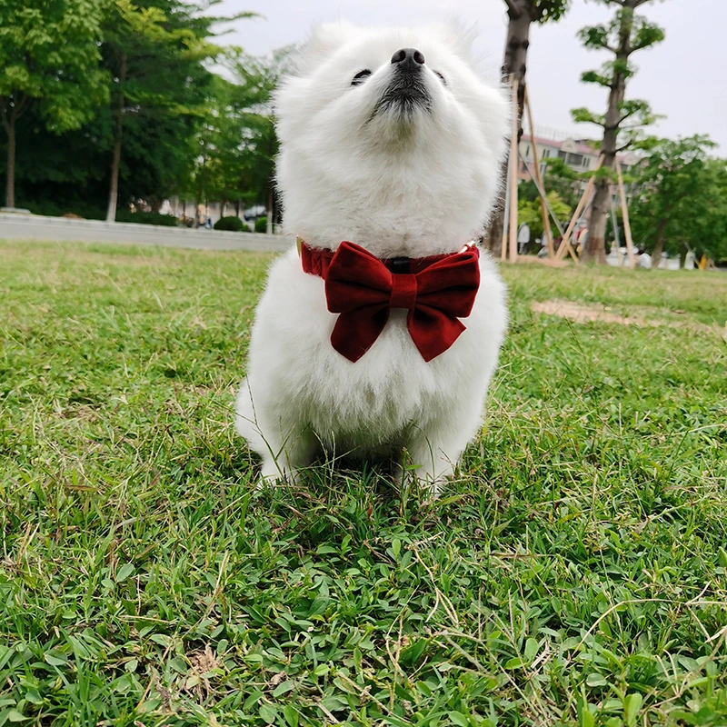 Adjustable Pet Collar All Size Quick Release Safety Velvet Dog Collars With Metal Accessories Buckle, Customized color
Adjustable Pet Collar All Size Quick Release Safety Velvet Dog Collars With Metal Accessories Buckle, Customized color