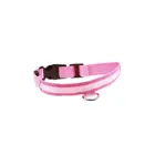 background customized nylon webbing dog collar with adjustable buckle