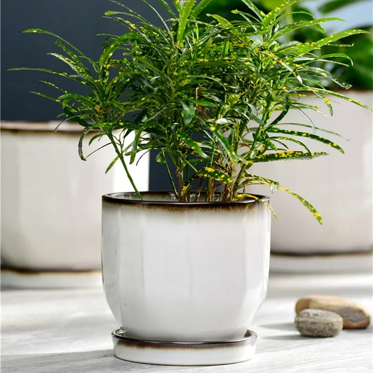 Hot sales elegant outdoor new designed floor vertical garden white ceramic plant pots
Hot sales elegant outdoor new designed floor vertical garden white ceramic plant pots