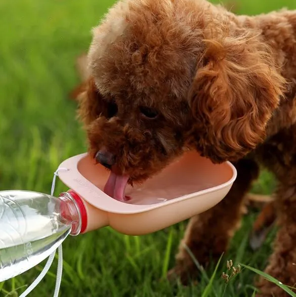 New Pet Product Outdoor Convenient Portable Plastic Pet Dog Water Feeder Bowl, Blue,pink,green,gray
New Pet Product Outdoor Convenient Portable Plastic Pet Dog Water Feeder Bowl, Blue,pink,green,gray