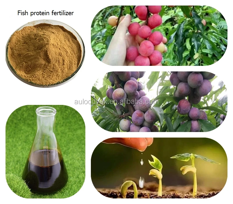 soluble fish protein fish fertilizer