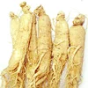 /product-detail/ren-shen-factory-supply-chinese-herbal-medicine-natural-dried-panax-ginseng-root-in-bulk-62255326043.html