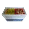 /product-detail/foldable-plastic-egg-crate-for-transfering-chicken-eggs-62245267773.html