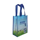 wholesale eco friendly grocery shopping non woven storage bag