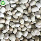 Broad Beans Export Iqf Whole Raw Material Frozen Quick-frozen White Broad Beans For Sale