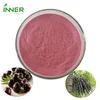 /product-detail/superfruit-powder-spay-dried-juice-concentrate-natural-flavor-acai-berry-powder-62337533439.html