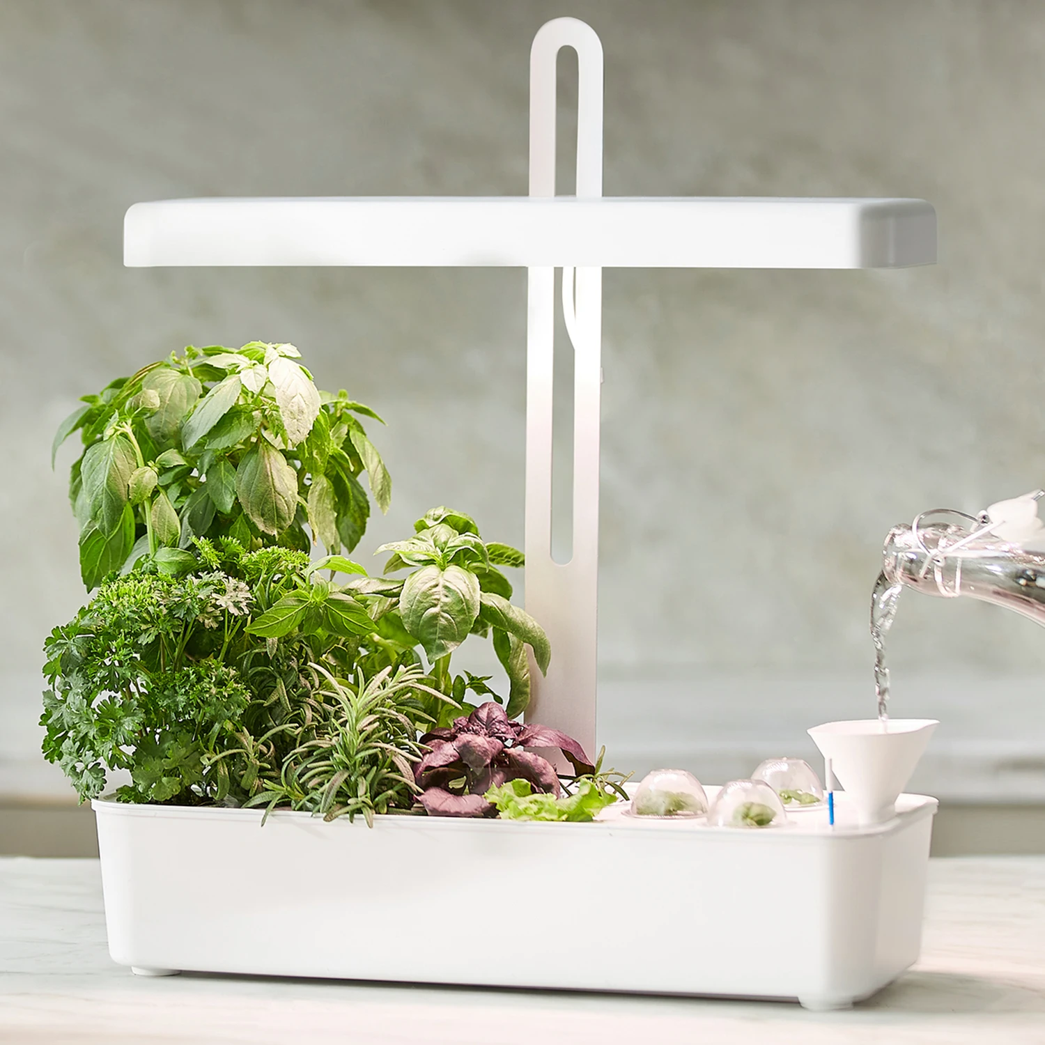 US FREE SHIPPING LED Indoor Garden herb kitchen indoor hydroponic countertop garden kit pods
US FREE SHIPPING LED Indoor Garden herb kitchen indoor hydroponic countertop garden kit pods