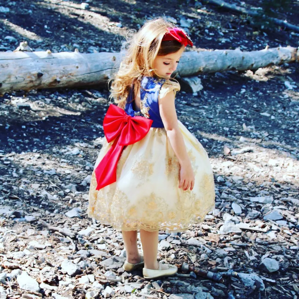 Meiqiai Children's Flower Dress Kids Clothing 0-5Y Girls Lace Wedding Party Dresses With headband L5192XZ, As picture
Meiqiai Children's Flower Dress Kids Clothing 0-5Y Girls Lace Wedding Party Dresses With headband L5192XZ, As picture