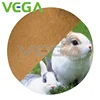 /product-detail/vega-china-manufacturer-clostridium-butyricum-feed-ingredient-for-animal-1951120638.html